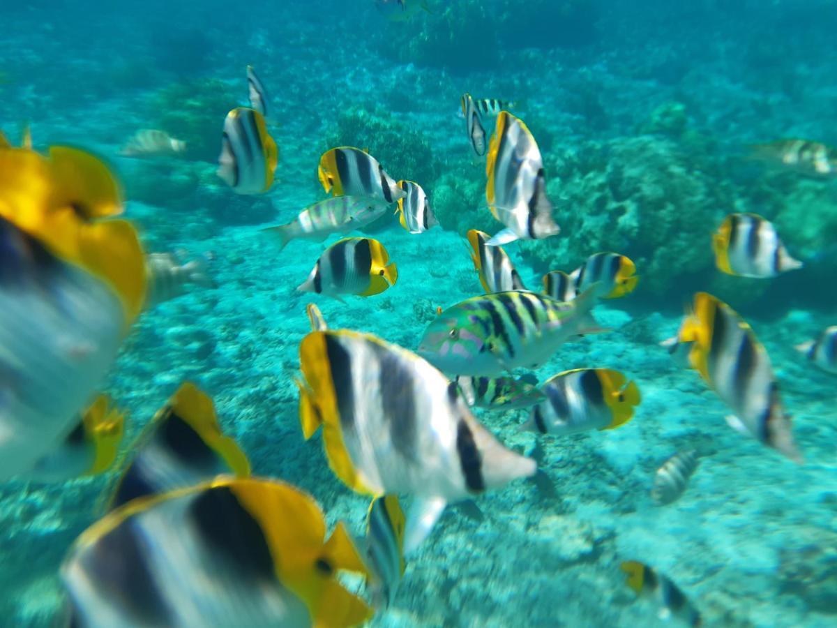 Fare O'Eden Vila Bora Bora Exterior foto